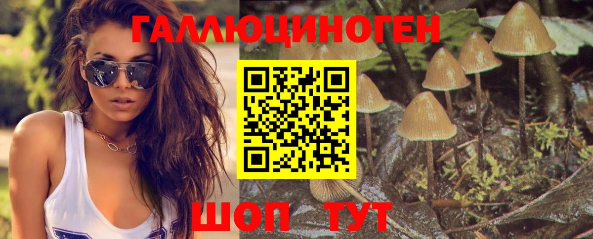 Псилоцибиновые грибы ЛСД  Галлюциногенные грибы Magic Shrooms  Ачинск  Вход с VPN 